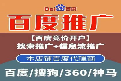探索百度竞价代运营公司的成功之路